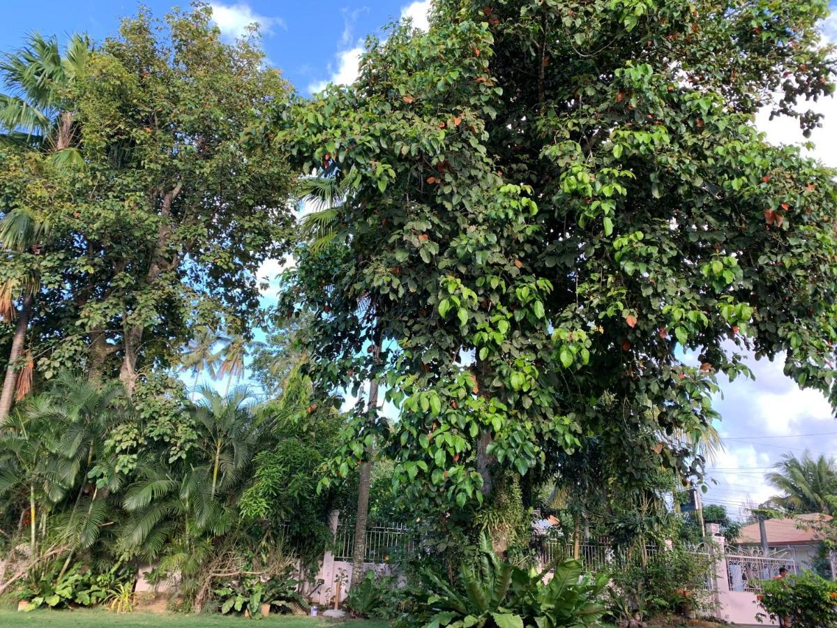 Powers Holiday Vacations Dipolog Exterior foto